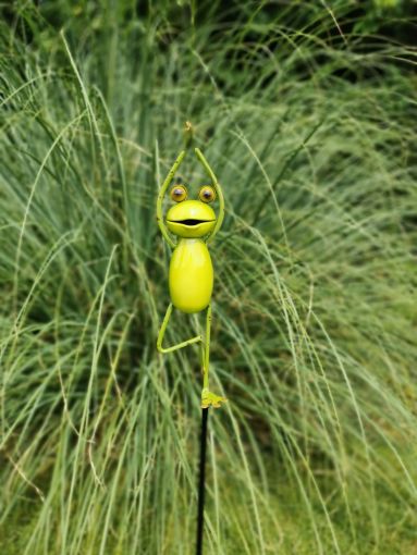 Five Oaks Yoga Frosch/Yoga Frog - Der Baum/ Gartenstecker klein